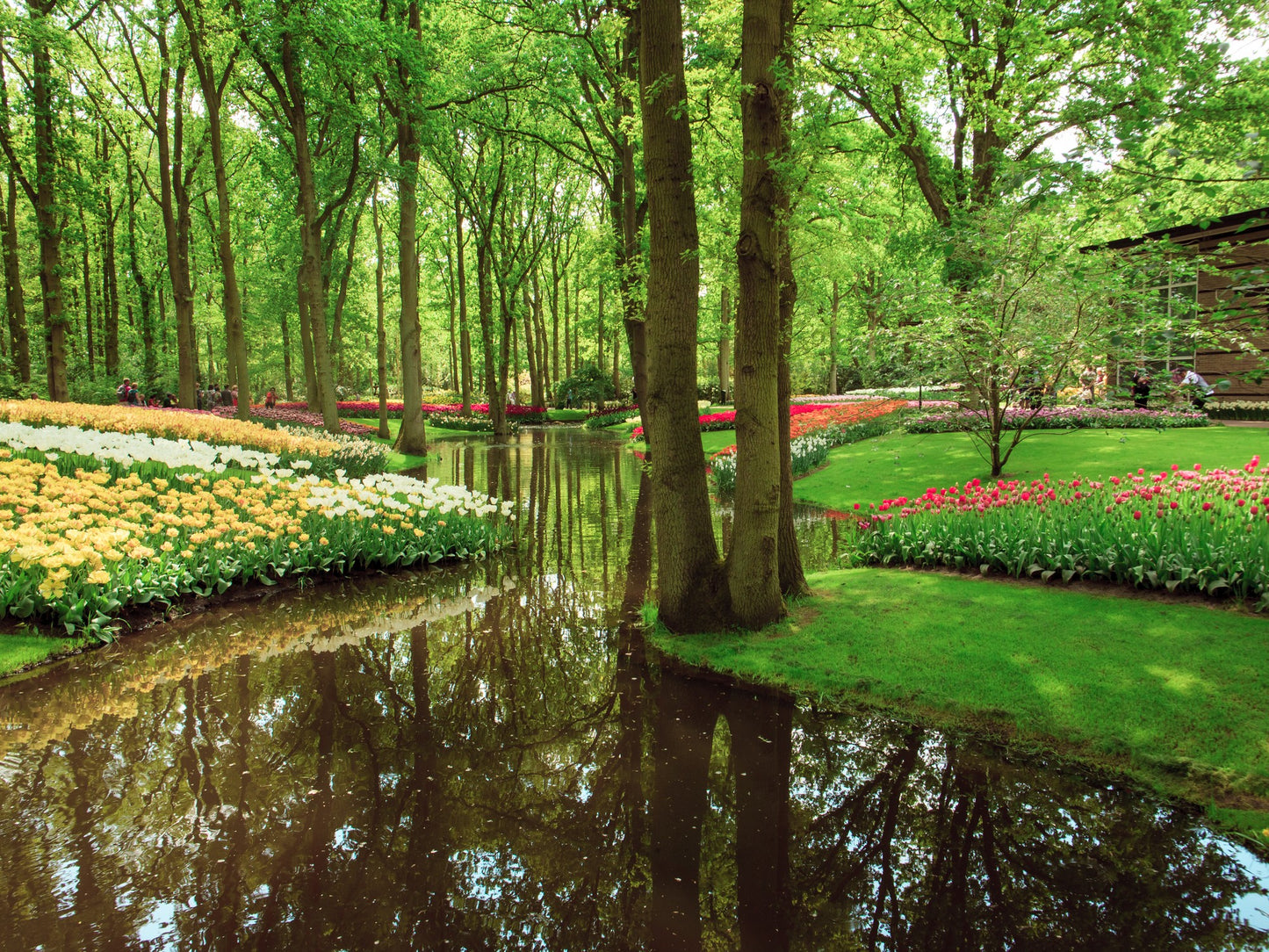 Agua, árboles y flores