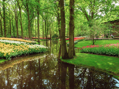 Agua, árboles y flores