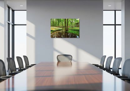 Agua, árboles y flores