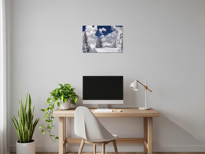 Arboles cubiertos de nieve