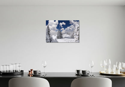 Arboles cubiertos de nieve