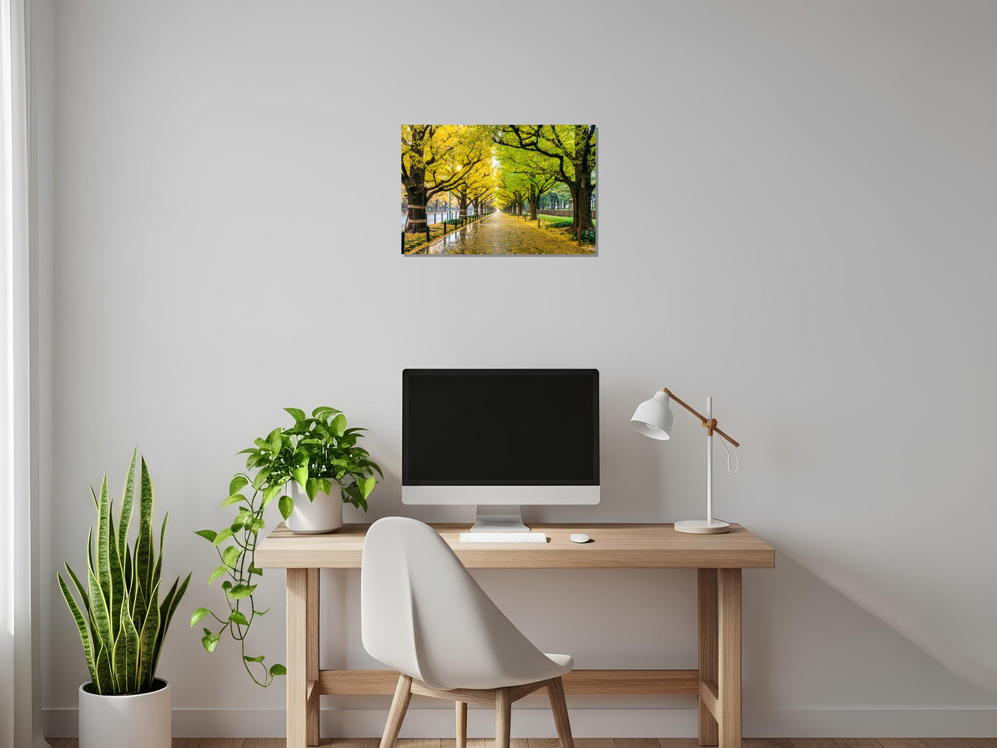 Avenida de bordeada de árboles Ginkgo Biloba