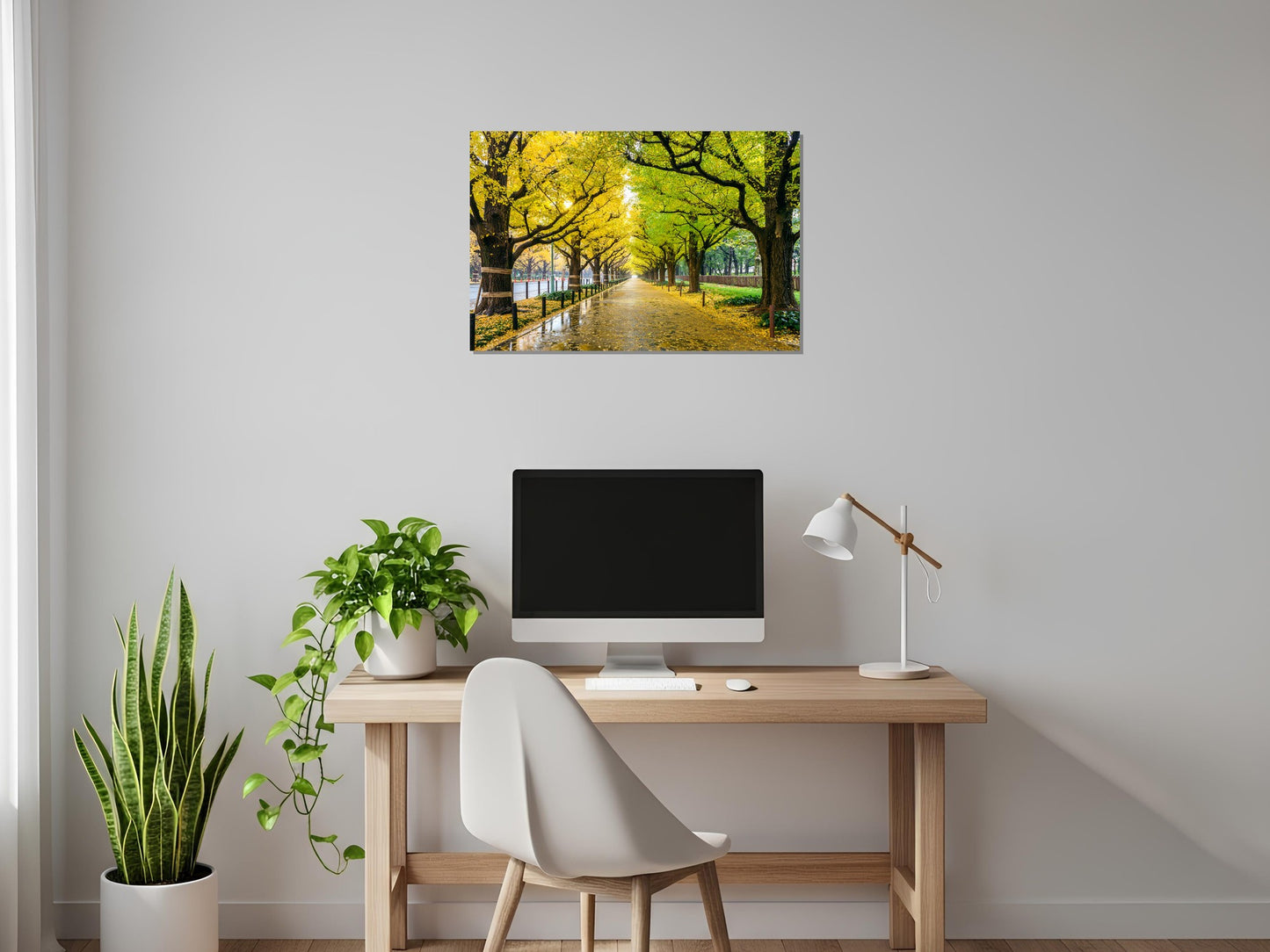 Avenida de bordeada de árboles Ginkgo Biloba