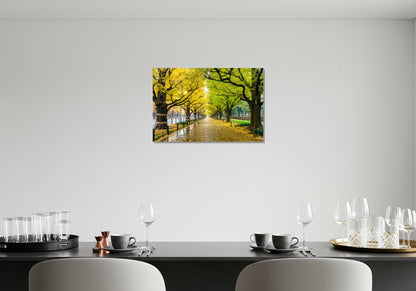 Avenida de bordeada de árboles Ginkgo Biloba