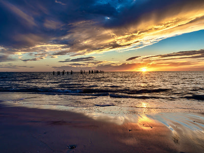 Aves y espigones en el mar