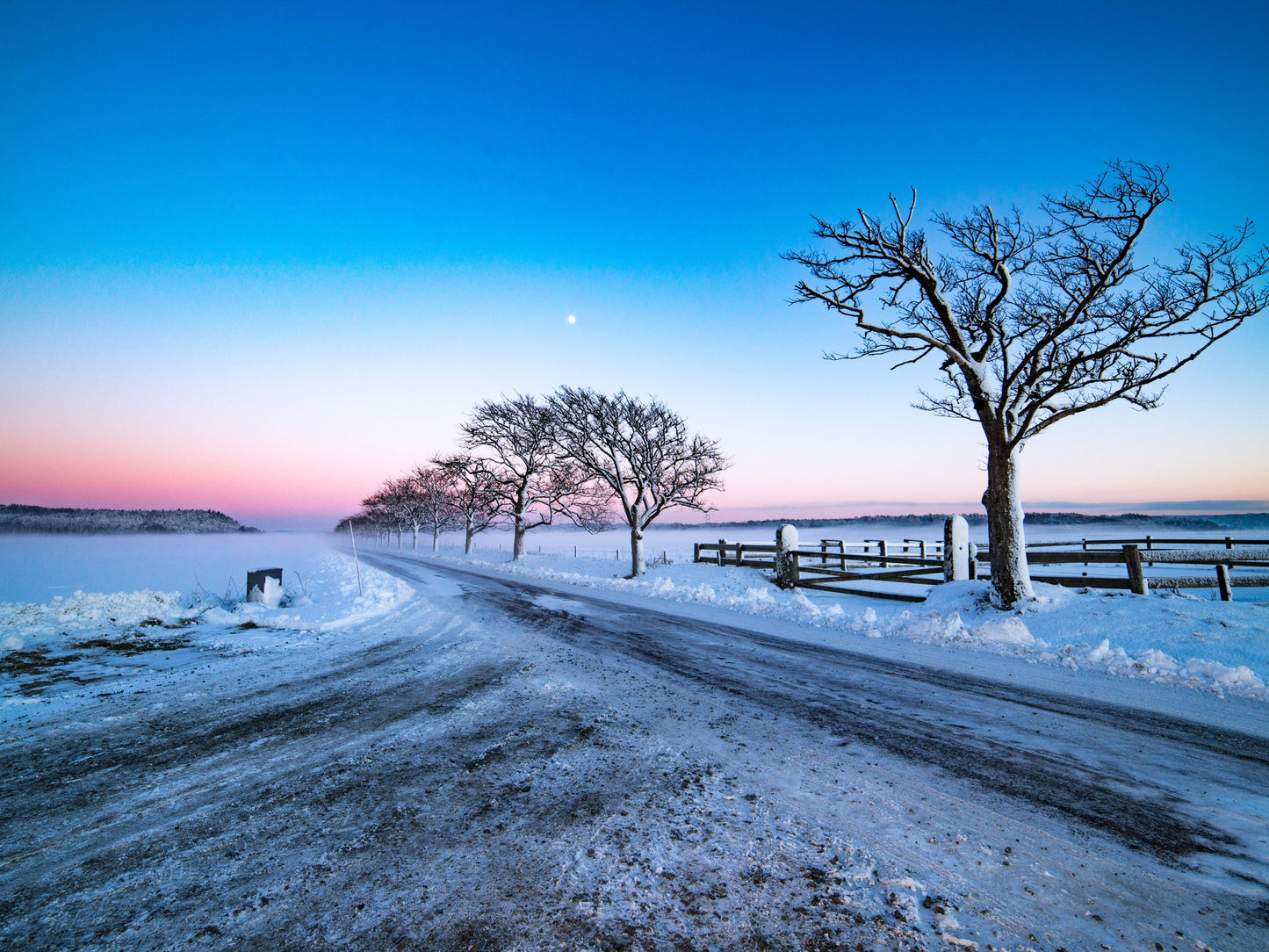 Camino de nieve al horizonte