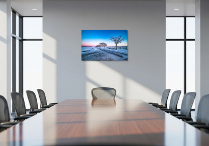 Camino de nieve al horizonte