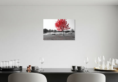 La silla y el árbol rojo