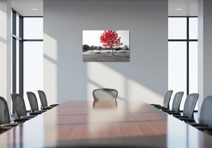 La silla y el árbol rojo