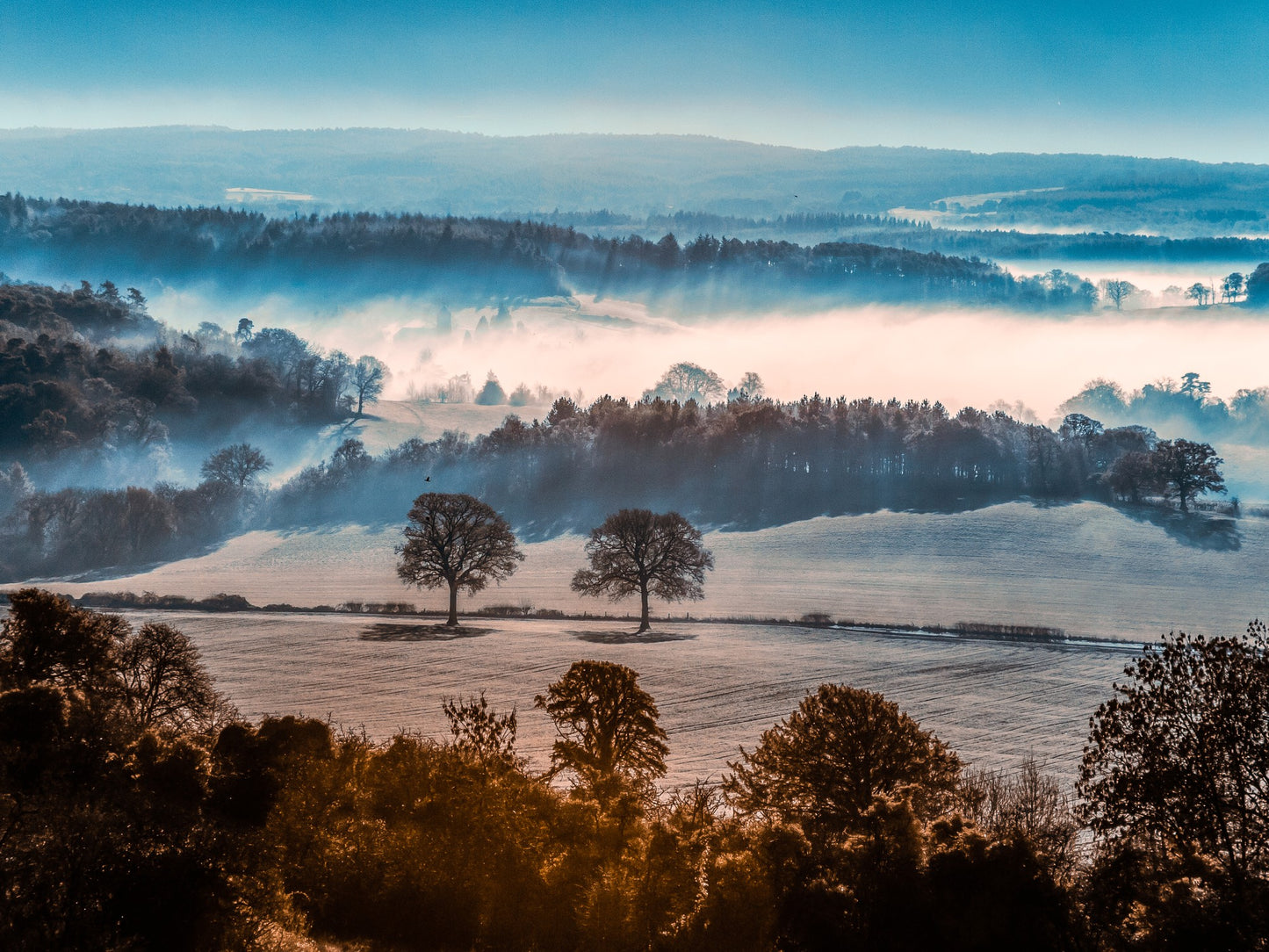 Mañana brumosa y helada