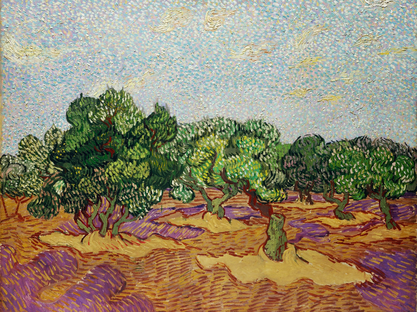 Olivos con cielo amarillo y sol - Vincent van Gogh