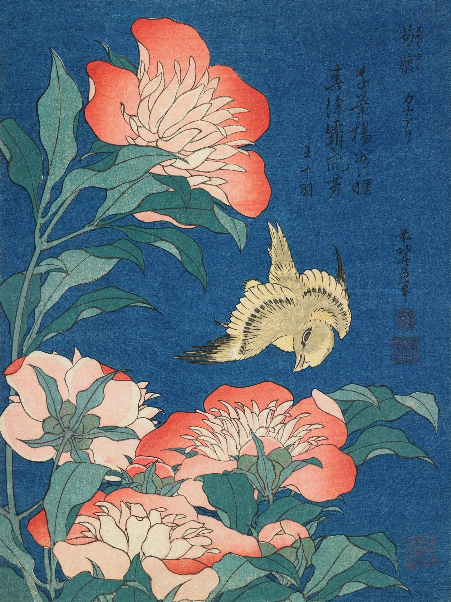 Peonías y canario - Katsushika Hokusai