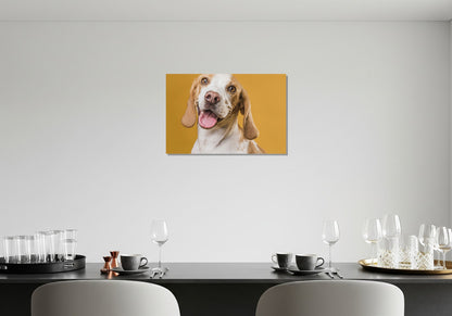 Cuadro metálico decorativo para interiores
