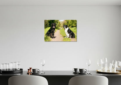 Cuadro metálico decorativo para interiores