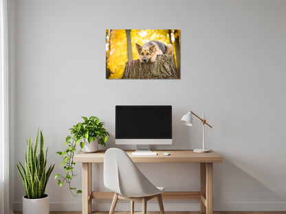 Cuadro metálico decorativo para interiores