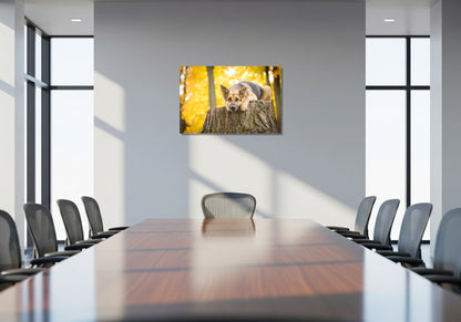 Cuadro metálico decorativo para interiores