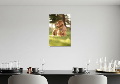 Cuadro metálico decorativo para interiores