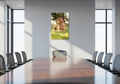 Cuadro metálico decorativo para interiores