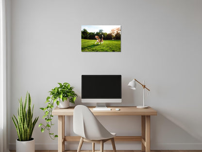 Cuadro metálico decorativo para interiores