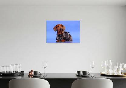 Cuadro metálico decorativo para interiores