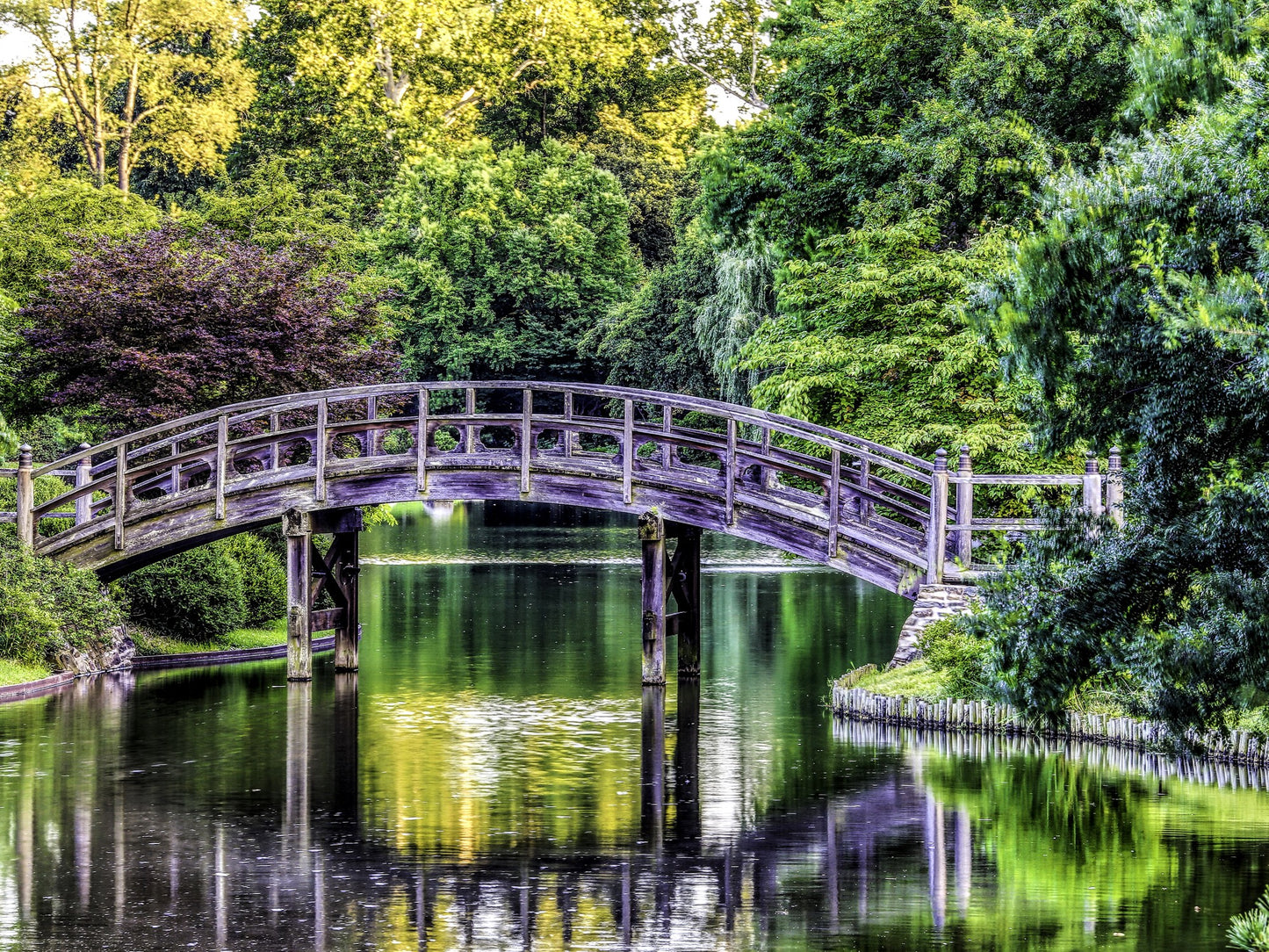 Puente en medio de la naturaleza