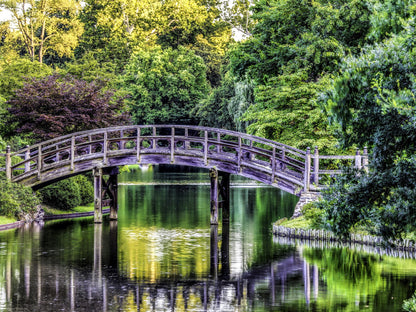 Puente en medio de la naturaleza