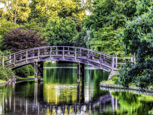 Puente en medio de la naturaleza