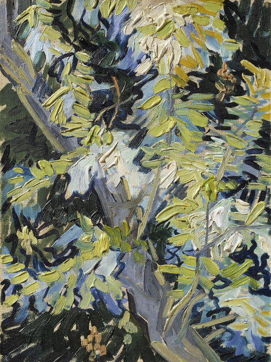 Ramas de acacías en flor - Vincent van Gogh