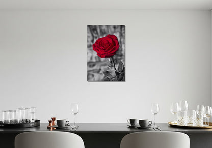 Cuadro metálico decorativo para interiores