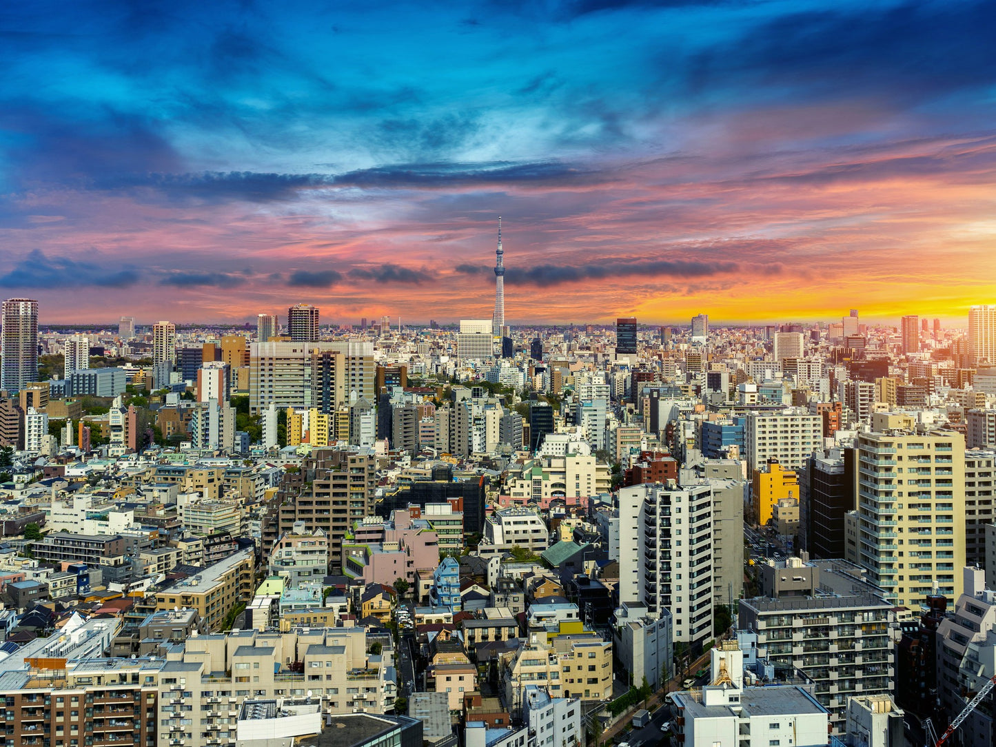 Cuadro metálico decorativo para interiores