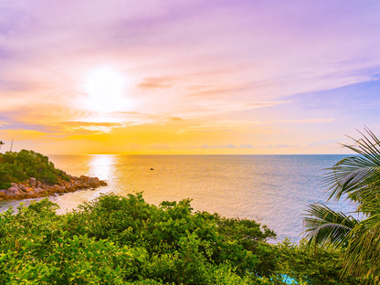 Vegetación tropical y mar