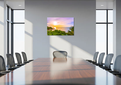 Vegetación tropical y mar