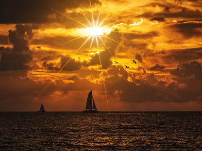 Veleros al atardecer