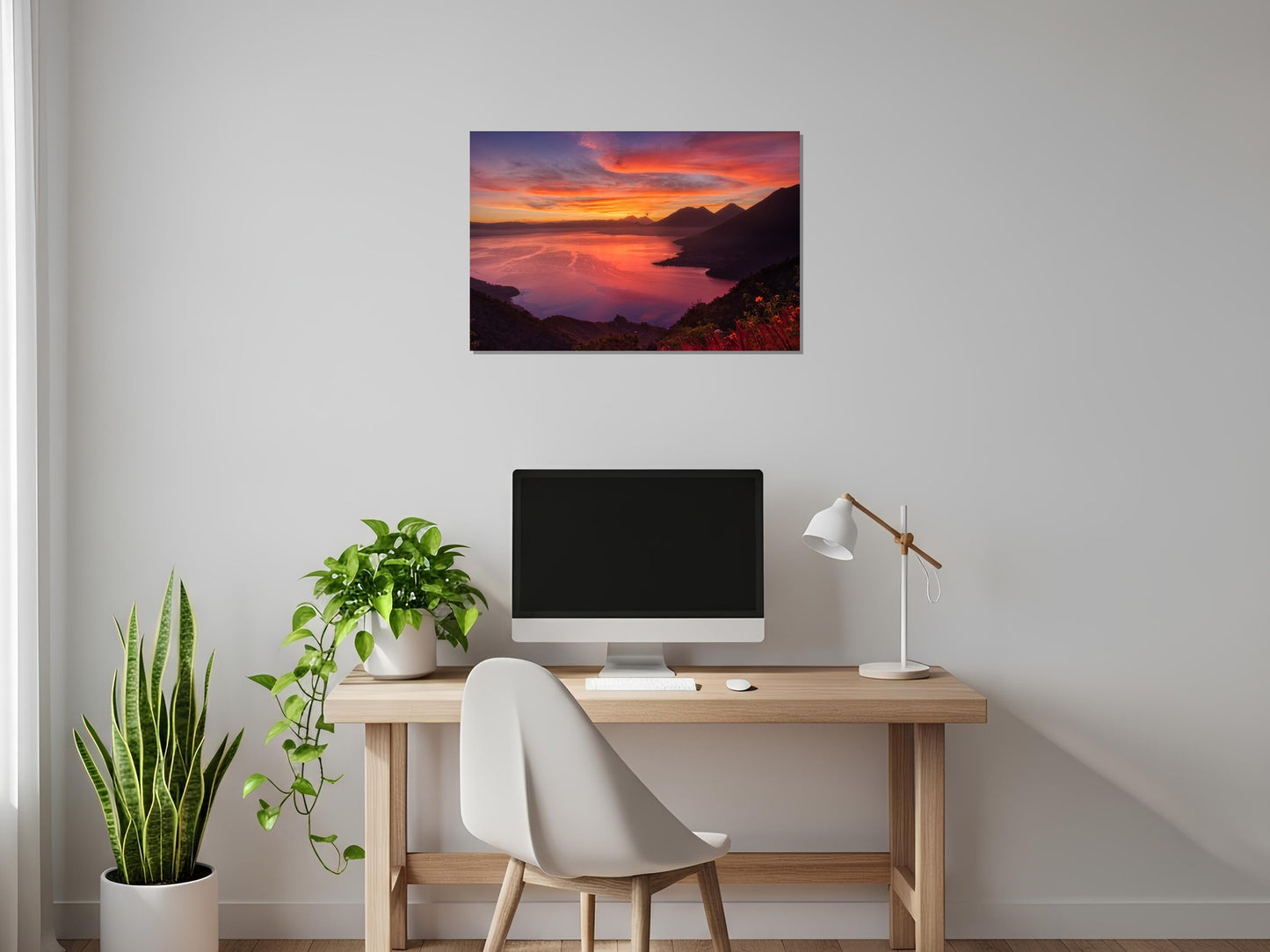 Visos rojos y morados