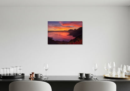 Visos rojos y morados